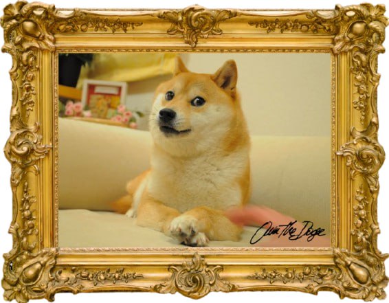CEO of Ownthedoge